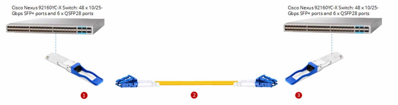 Direct Connection for Cisco Compatible 100G QSFP28 LR4 Transceivers